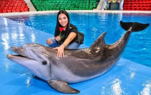 Visit Dubai Dolphinarium