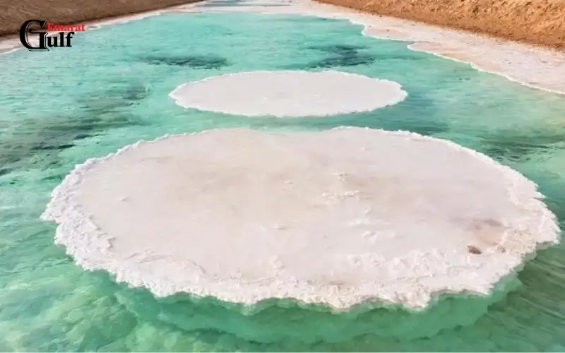 Al Wathba Lake
