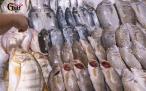 Fish Market Umm Al Quwain