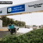 Sheikh Khalifa Energy Complex Abu Dhabi – Powering the Nation’s Future