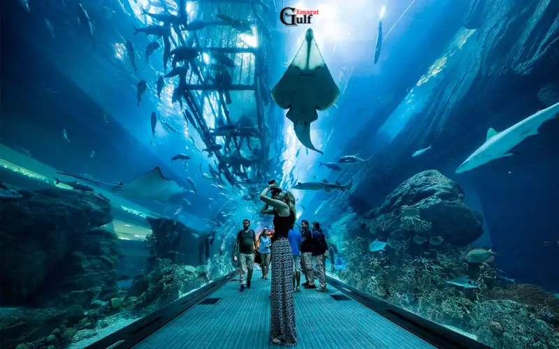 Dubai Aquarium and Underwater Zoo