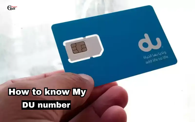 How to know My DU number