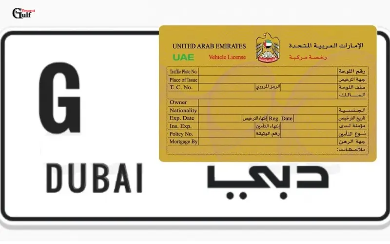 New Vehicle Registration