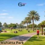 Max Metro Station – Complete Travel & Area Guide