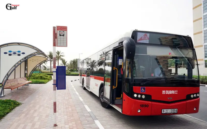 Importance of Feeder Bus Services