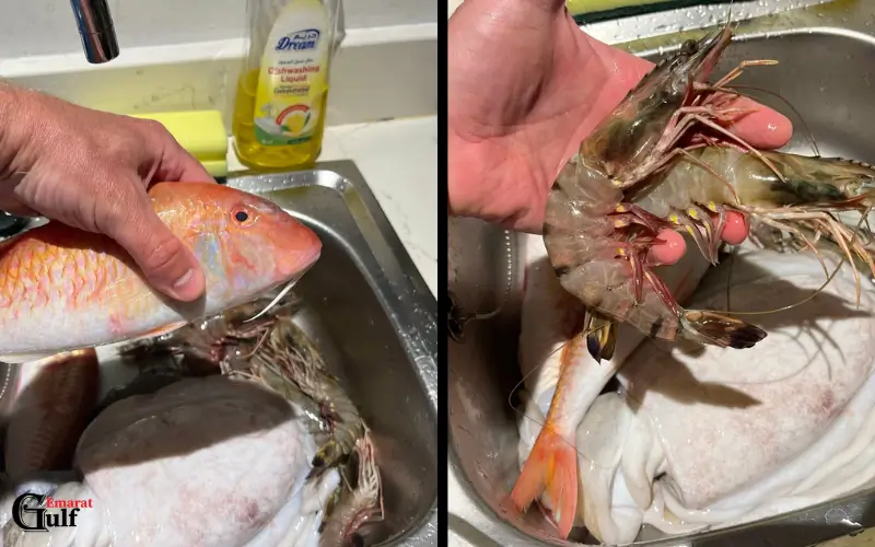 Variety of Fresh Fish