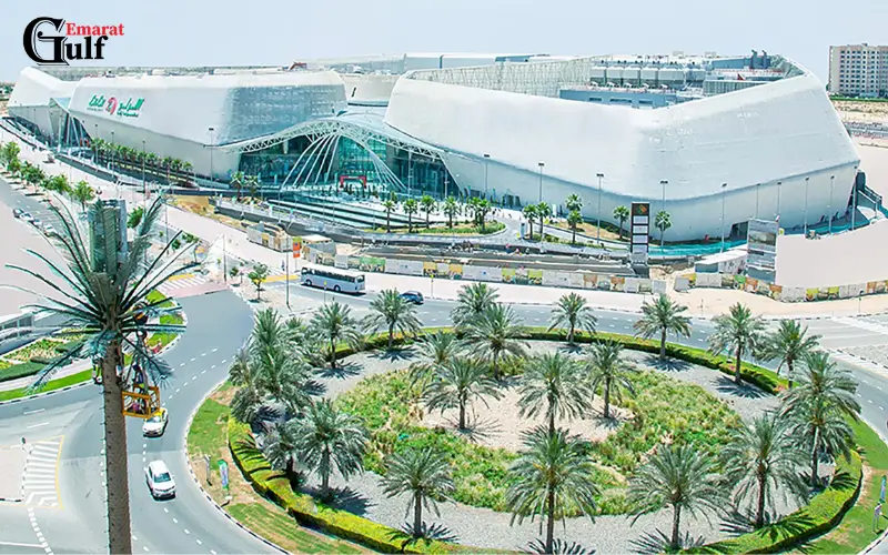 Overview of LuLu Silicon Oasis

