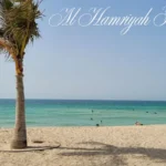 Plan Your Visit to China Mall Ajman – Everything You Need in One Place