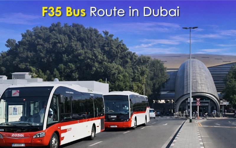F35 Bus Timetable