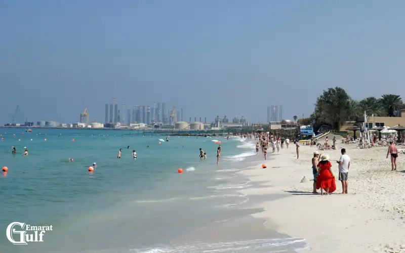 Perfect for Family Picnics