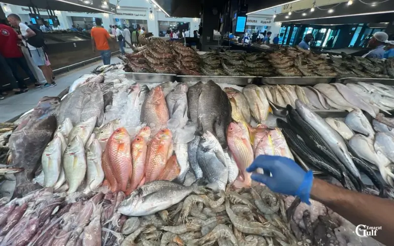 Health Benefits of Fresh Seafood