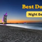 Sheikh Zayed Road – Guide to Malls, Metro Stations, Bus Routes & Landmarks