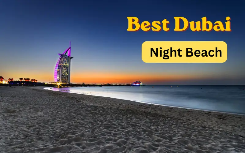 Dubai Night Beach