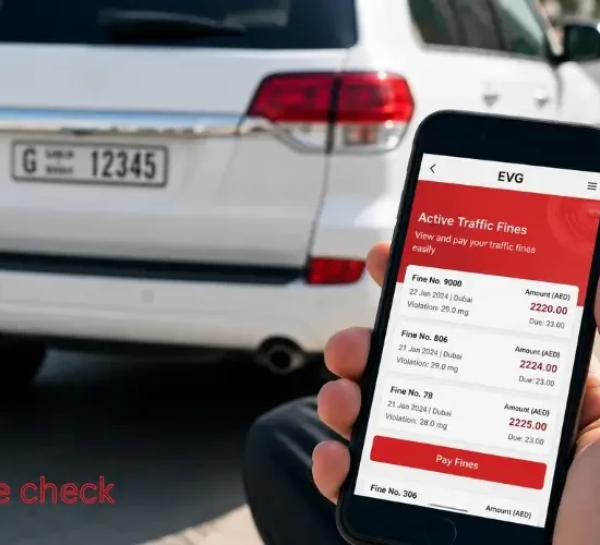 EVG Fine Check