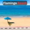 Flamingo Beach