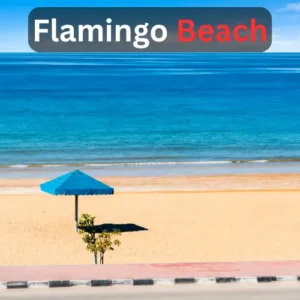 Flamingo Beach