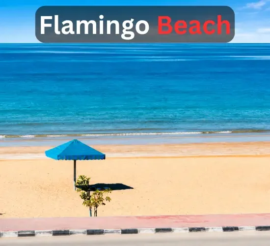 Flamingo Beach