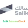 Salik Balance Check