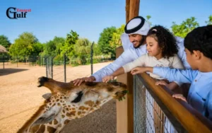 Educational Value for Families and Students