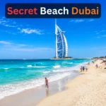 F34 Bus Timetable: Complete Route, Stops, Fares & Travel Guide (2026)