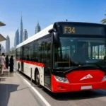 Secret Beach Dubai: Location, Entry Fee & Latest Visitor Update (2026) 