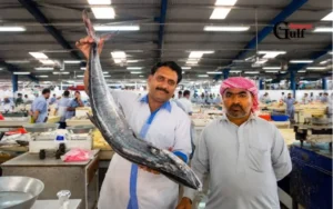 Kingfish
