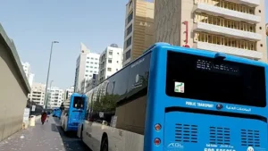 By Public Bus