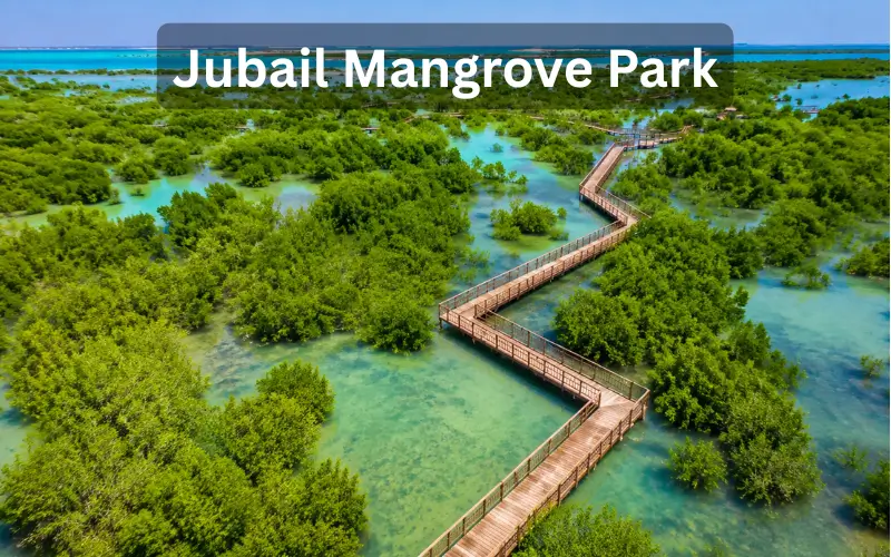 Jubail Mangrove Park