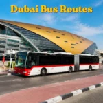 Guide to Setting Up a Business in Dubai for New Entrepreneurs