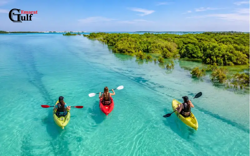 Mangrove Kayaking at Jubail Mangrove Park