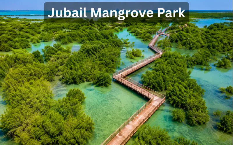 Jubail Mangrove Park