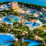 A Guide to Launching a Retail Business in Dubai