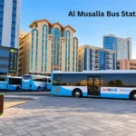 Pearl Tower Ajman: Location, Apartments, Prices & Payment Plan